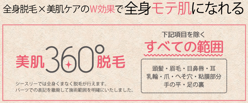 �V�[�X���[,�\��